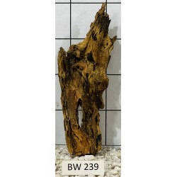 Bogwood 239