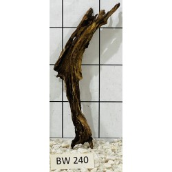 Bogwood 240