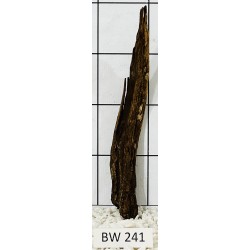 Bogwood 241
