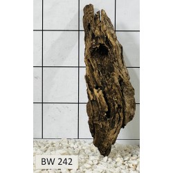 Bogwood 242