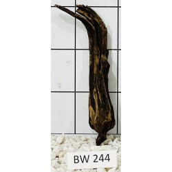 Bogwood 244