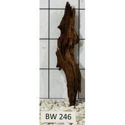 Bogwood 246