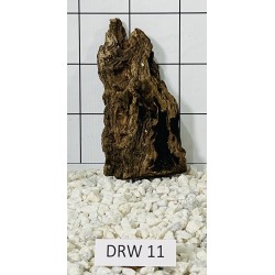 Dragonwood 11