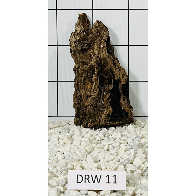 Dragonwood 11