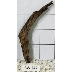Bogwood 247