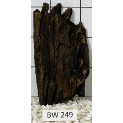 Bogwood 249