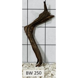 Bogwood 250