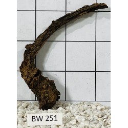 Bogwood 251