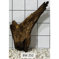 Bogwood 252