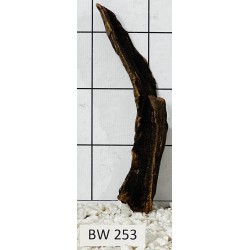 Bogwood 253