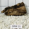 Dragonwood 11