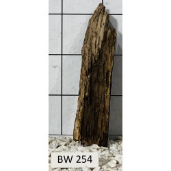 Bogwood 254