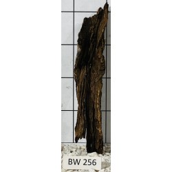 Bogwood 256