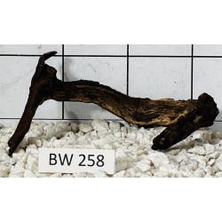 Bogwood 258