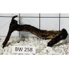 Bogwood 258