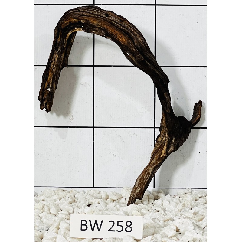 Bogwood 258