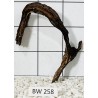 Bogwood 258