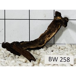 Bogwood 258
