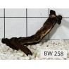 Bogwood 258