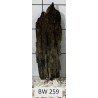 Bogwood 259
