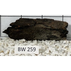 Bogwood 259