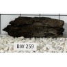 Bogwood 259