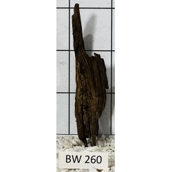 Bogwood 260