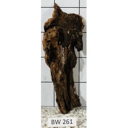 Bogwood 261