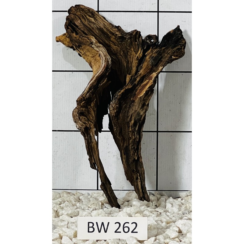 Bogwood 262