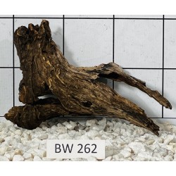 Bogwood 262