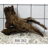 Bogwood 262