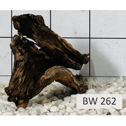 Bogwood 262