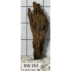 Bogwood 263