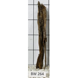 Bogwood 264