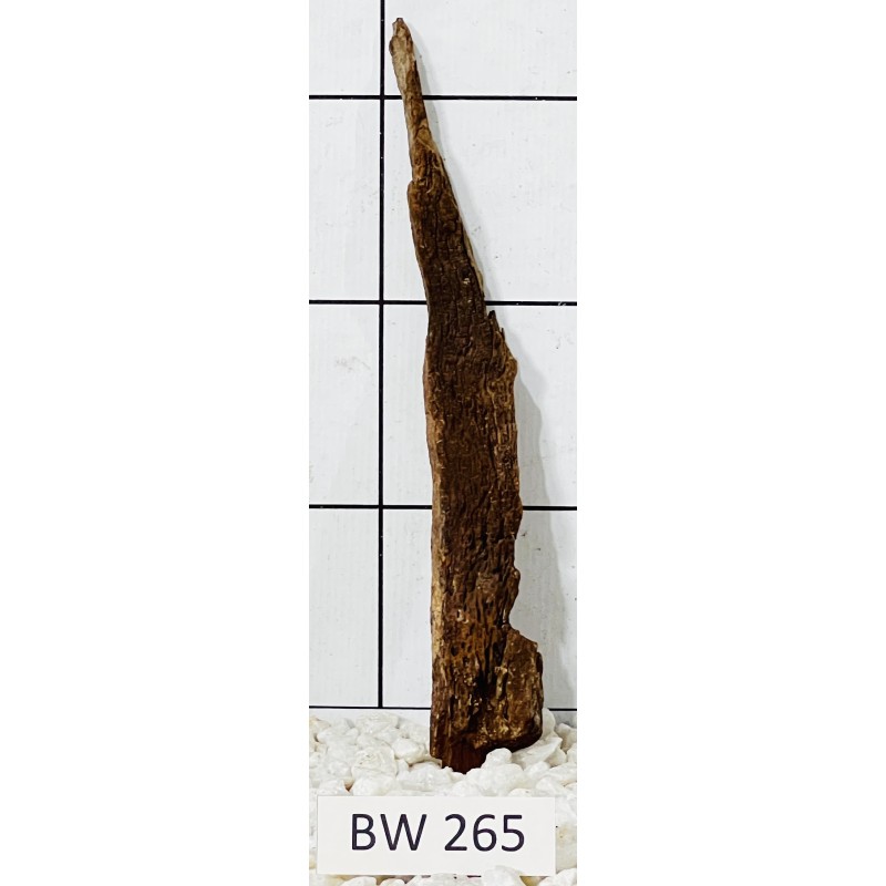 Bogwood 265