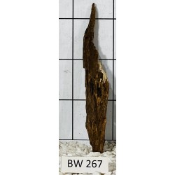 Bogwood 267