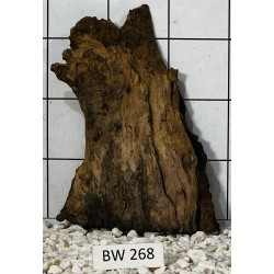 Bogwood 268