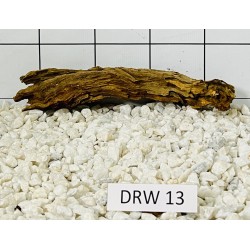Dragonwood 13