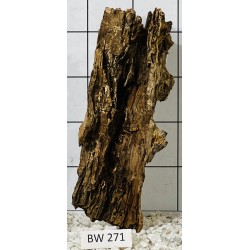 Bogwood 271