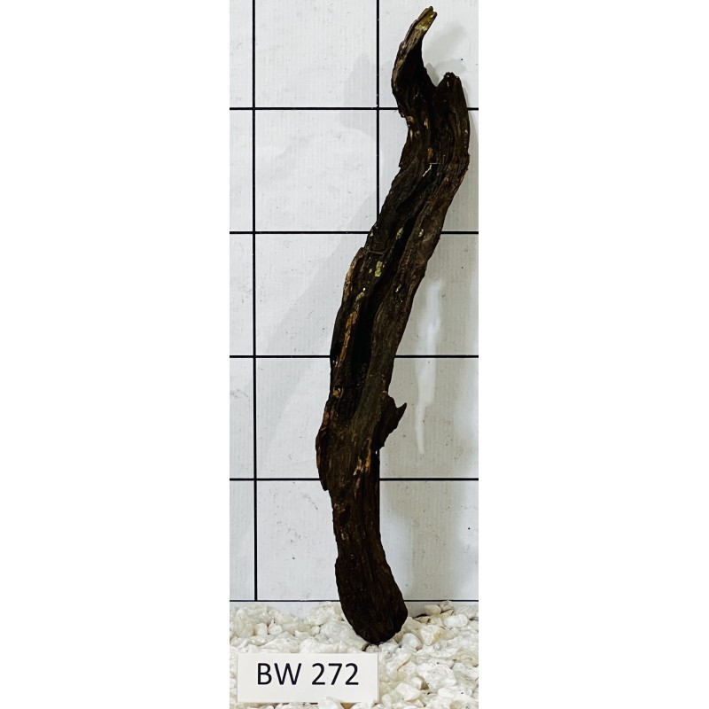 Bogwood 272