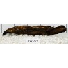 Bogwood 272