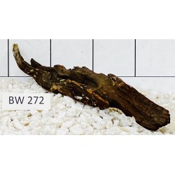 Bogwood 272