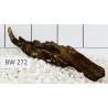 Bogwood 272