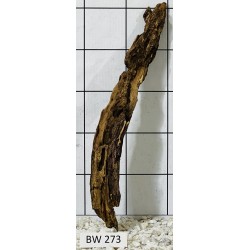 Bogwood 273