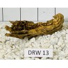Dragonwood 13