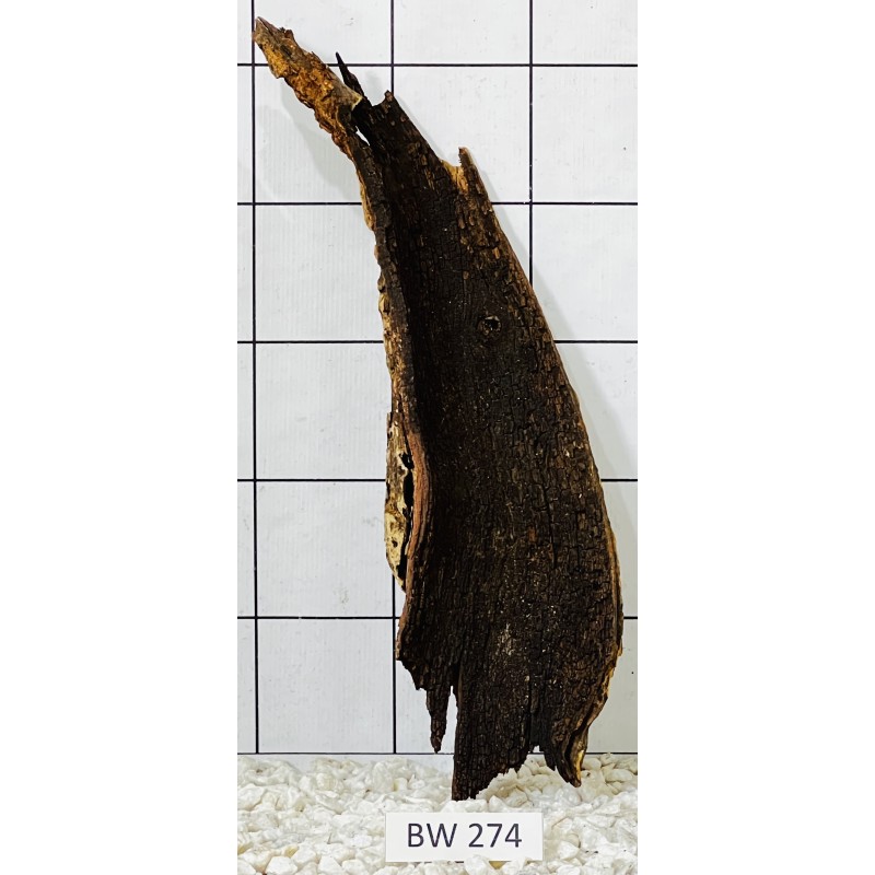 Bogwood 274