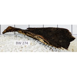 Bogwood 274