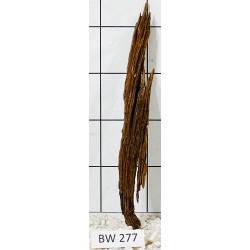 Bogwood 277