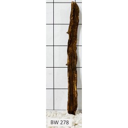 Bogwood 278