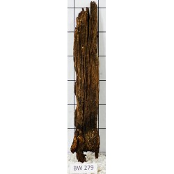 Bogwood 279